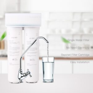 Ultra-Thin Membrane Carbon Filter